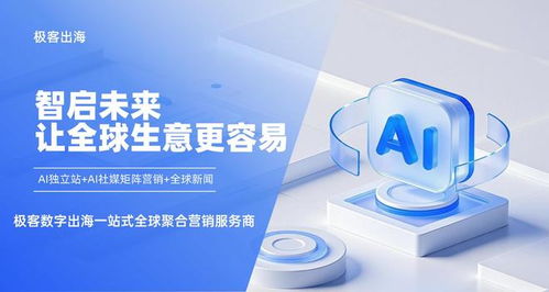 2025年度服務(wù)卓越的極客出海品牌企業(yè)排名 信息技術(shù)咨詢服務(wù)商的可靠選擇