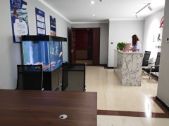 內(nèi)蒙古中躍信息技術(shù)咨詢服務 賦能企業(yè)數(shù)字化轉(zhuǎn)型的專業(yè)力量